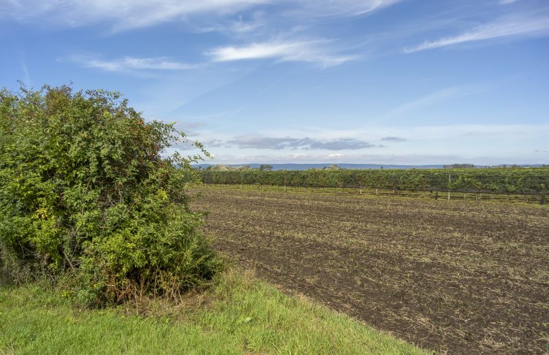 Acreage Clearing in Houston, TX