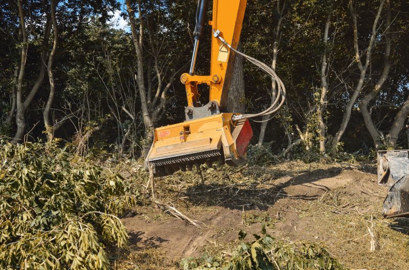 Brush Clearing Service in Houston, TX