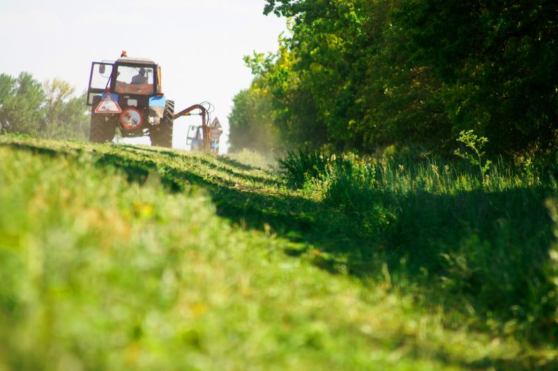 Pasture Clearing in Salt Lake City, UT