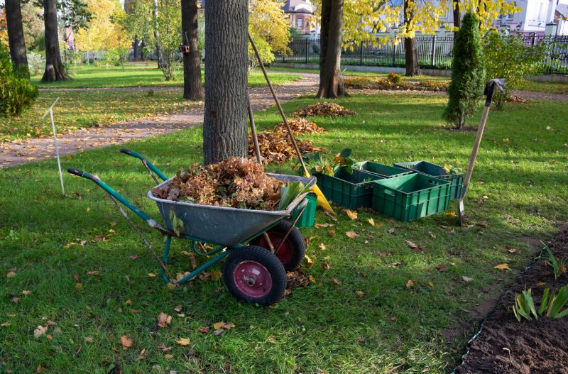 Brush Clearing Service in Katy, TX