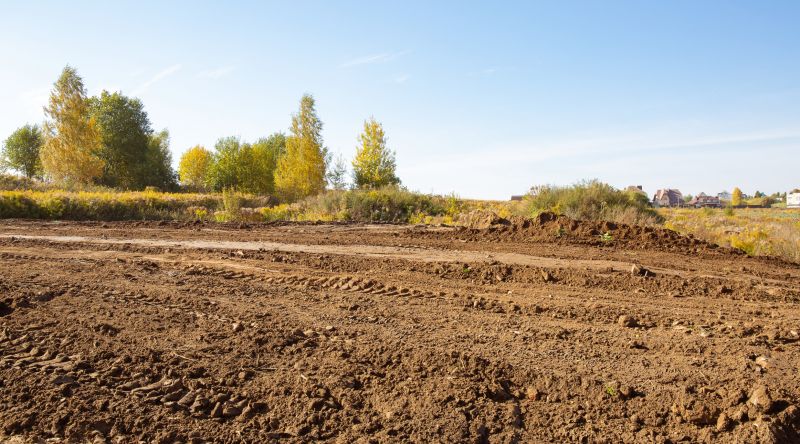 Easement Land Clearing in Houston, TX