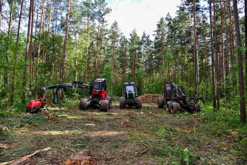 Forestry Clearing in Marietta, GA