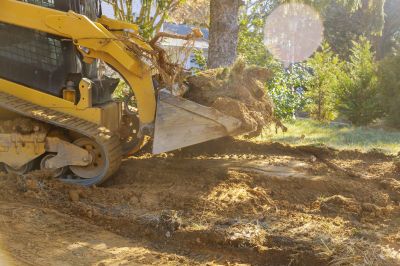 Excavation for Landscaping