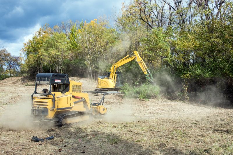 Ground Clearing in Houston, TX