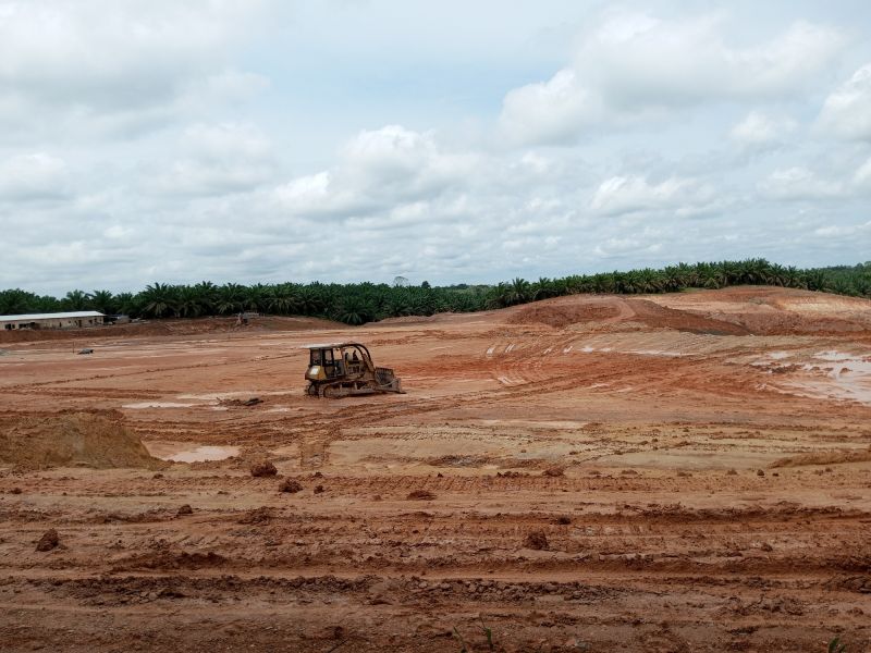 Land Preparation Service in Houston, TX