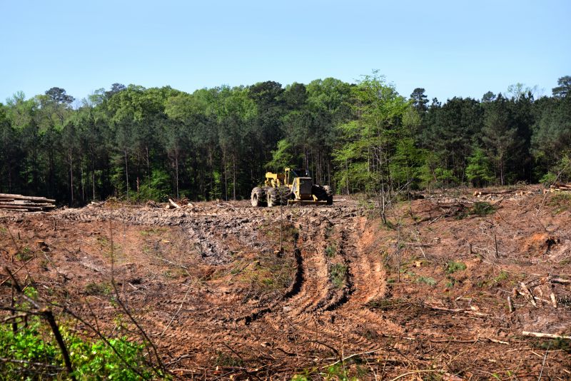Land Preparation Service in Marietta, GA