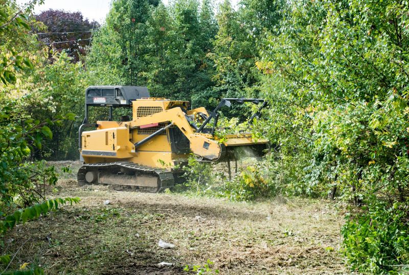 Pasture Clearing in Salt Lake City, UT
